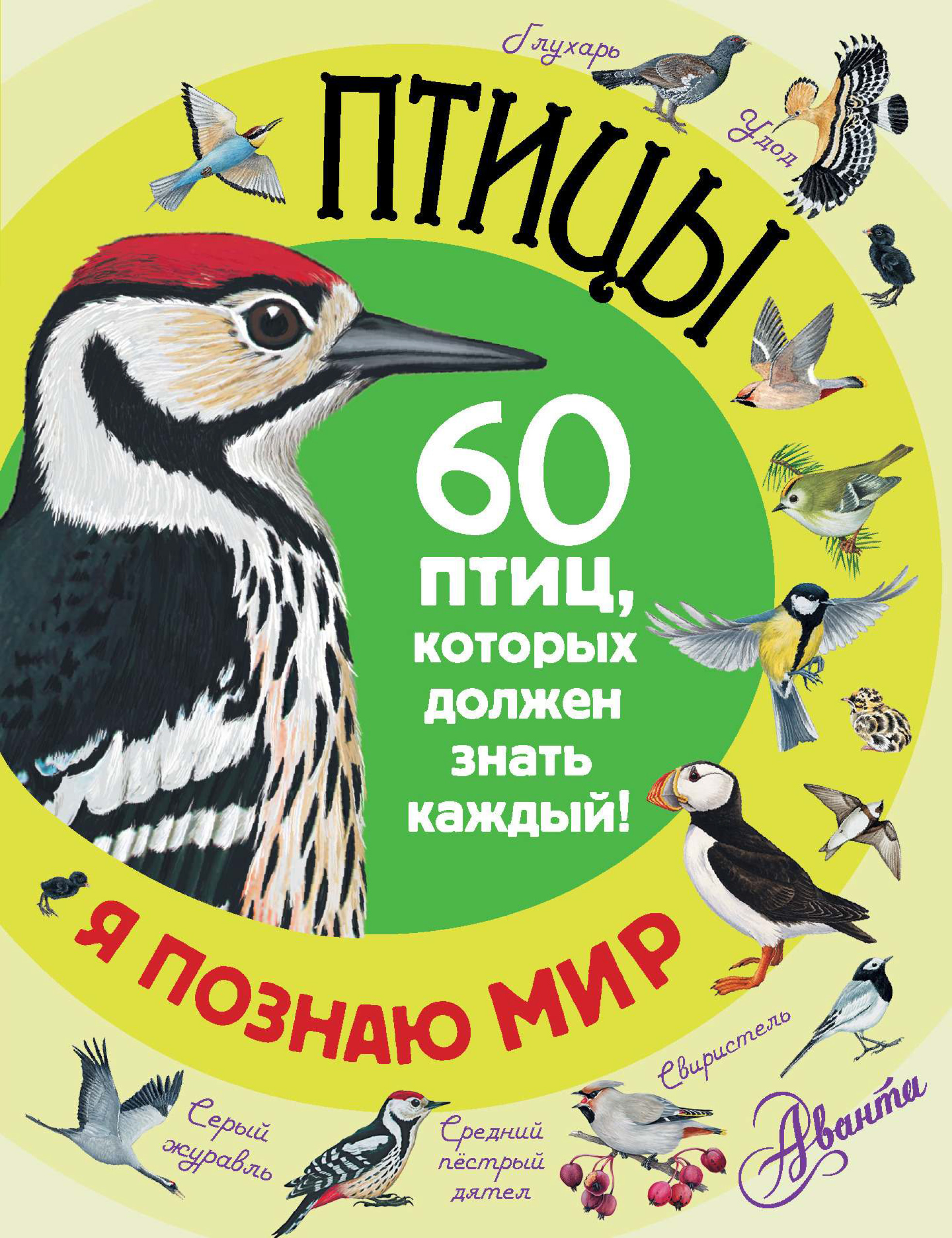 Птицы. 60 птиц, которых должен знать каждый
