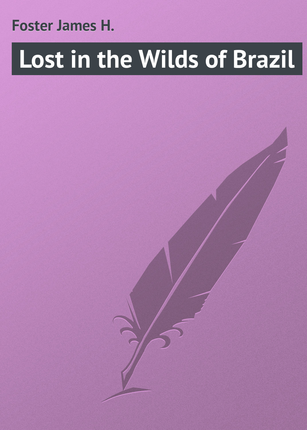Книга Lost in the Wilds of Brazil из серии , созданная James Foster, может относится к жанру Приключения: прочее, Зарубежная классика. Стоимость электронной книги Lost in the Wilds of Brazil с идентификатором 23145363 составляет 5.99 руб.