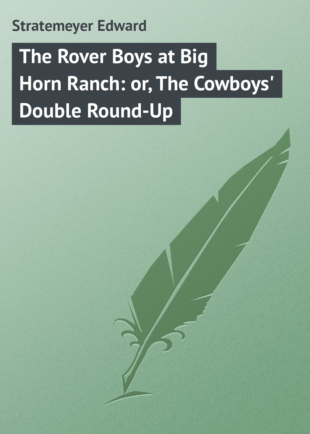 The Rover Boys at Big Horn Ranch: or, The Cowboys'Double Round-Up