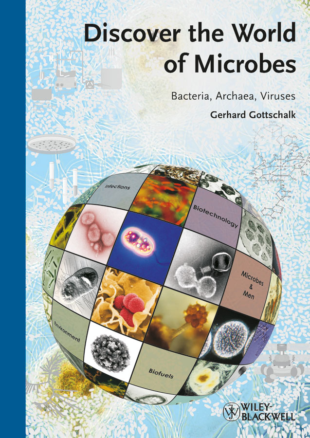 Discover the World of Microbes. Bacteria, Archaea, Viruses