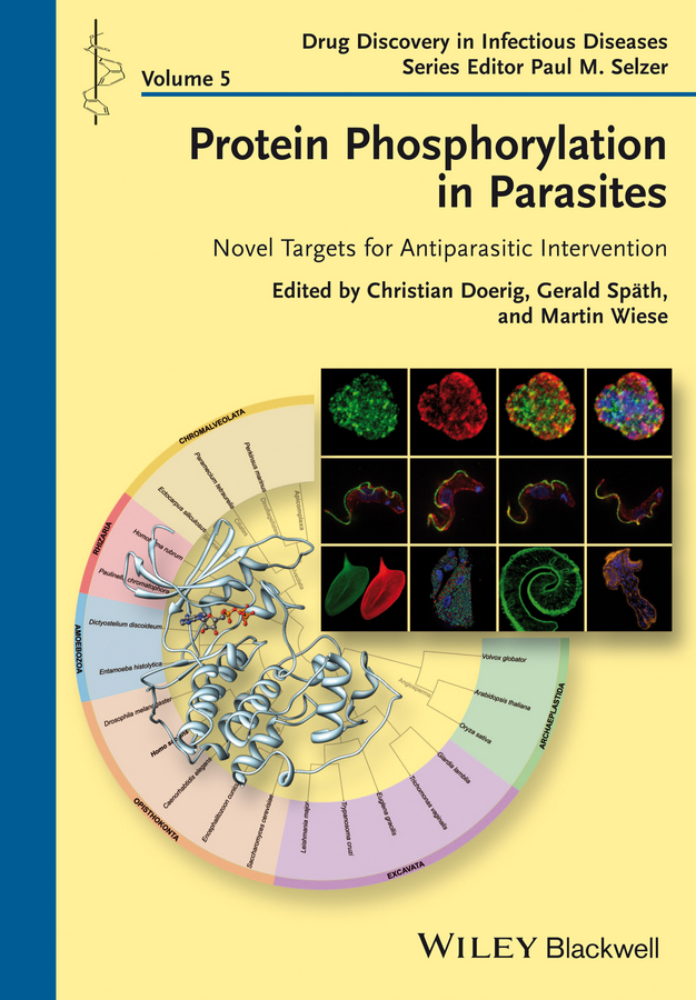 Protein Phosphorylation in Parasites. Novel Targets for Antiparasitic Intervention