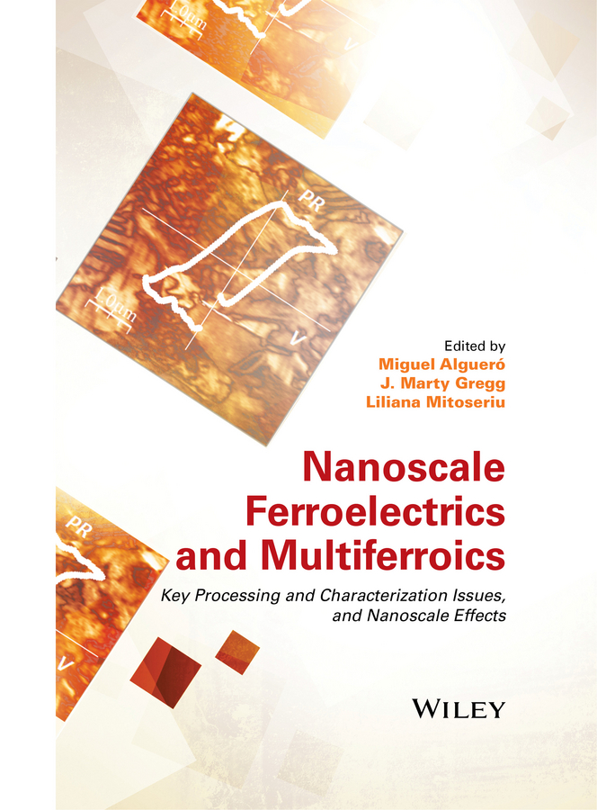 Nanoscale Ferroelectrics and Multiferroics. Key Processing and Characterization Issues, and Nanoscale Effects, 2 Volumes