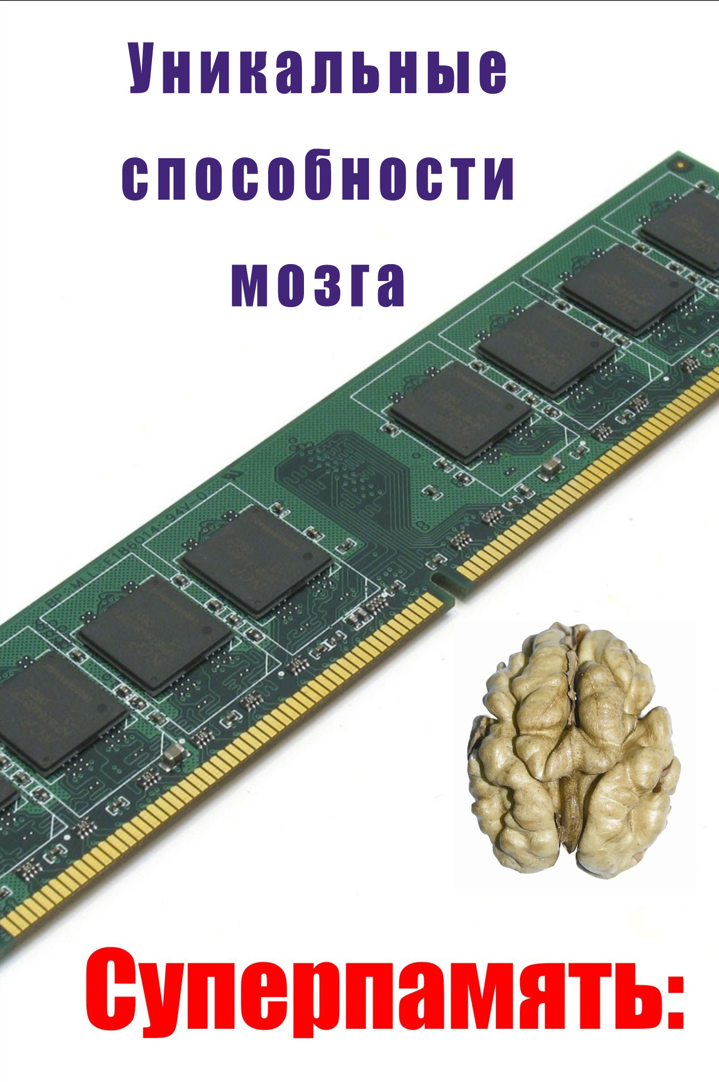 Книга Уникальные способности мозга из серии , созданная Илья Мельников, может относится к жанру Личностный рост. Стоимость электронной книги Уникальные способности мозга с идентификатором 6057361 составляет 29.95 руб.