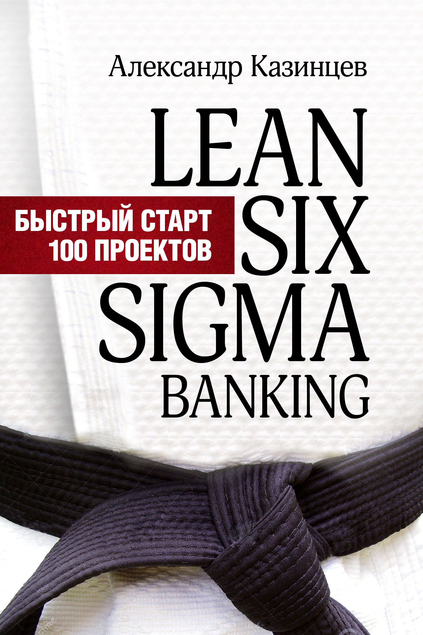 Lean Six Sigma Banking.Быстрый старт 100 проектов