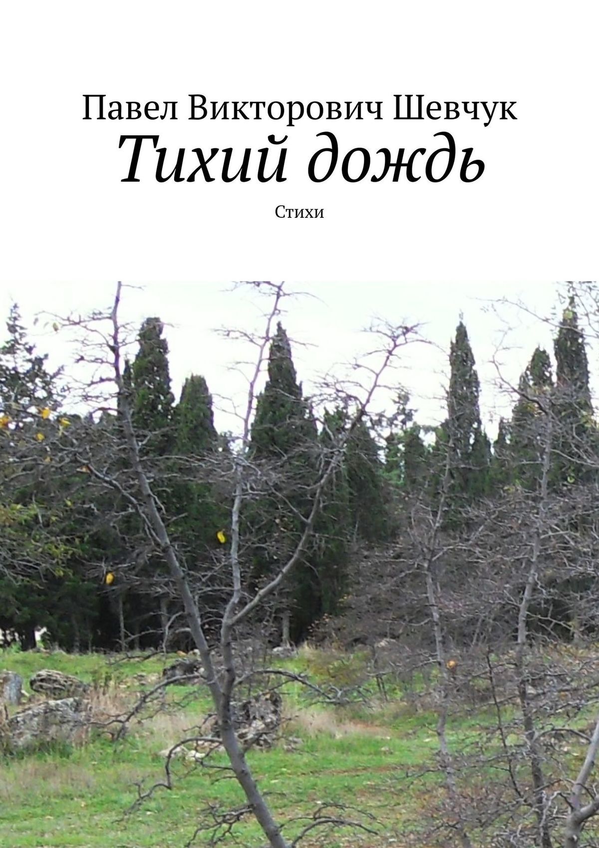 Тихий дождь. Судьба акварель. Везет книги.