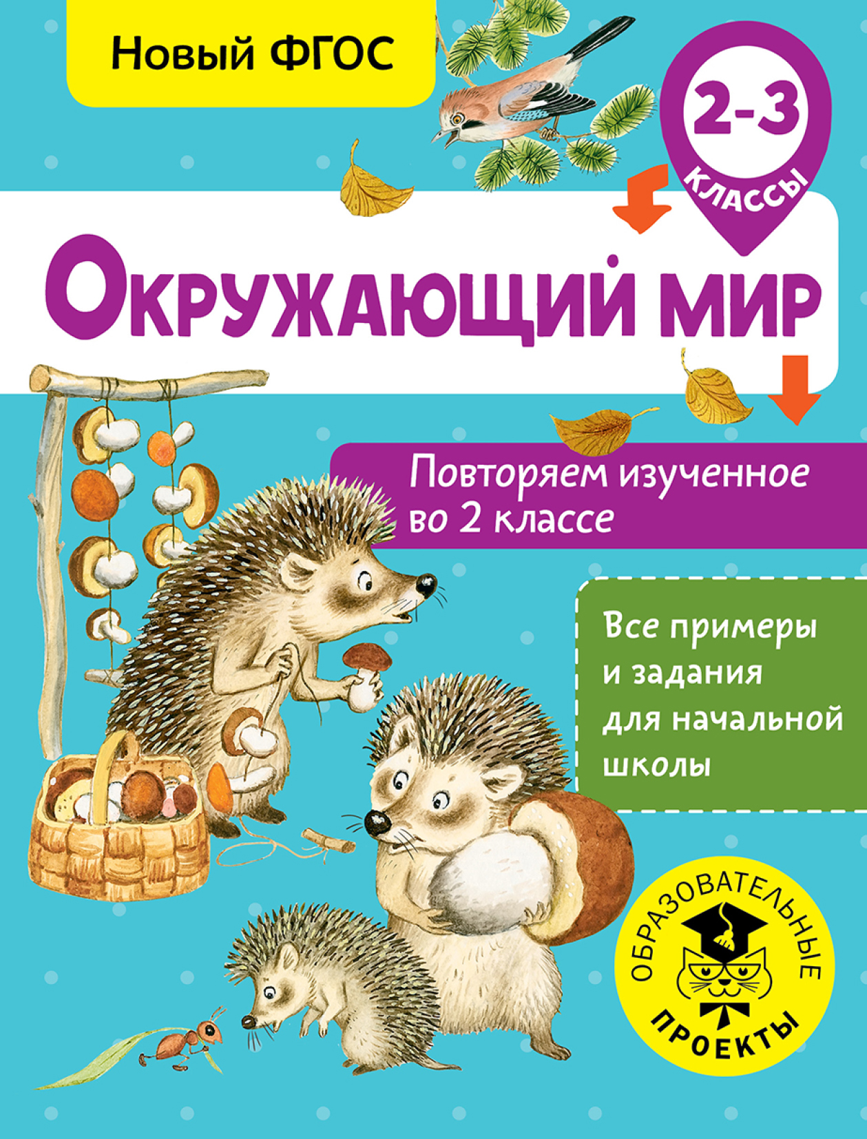 Повтори мир. Книга окружающий мир. Обложка по окружающему миру. Справочник по окружающему миру для начальной школы. Окружающий мир 2 класс повторение.