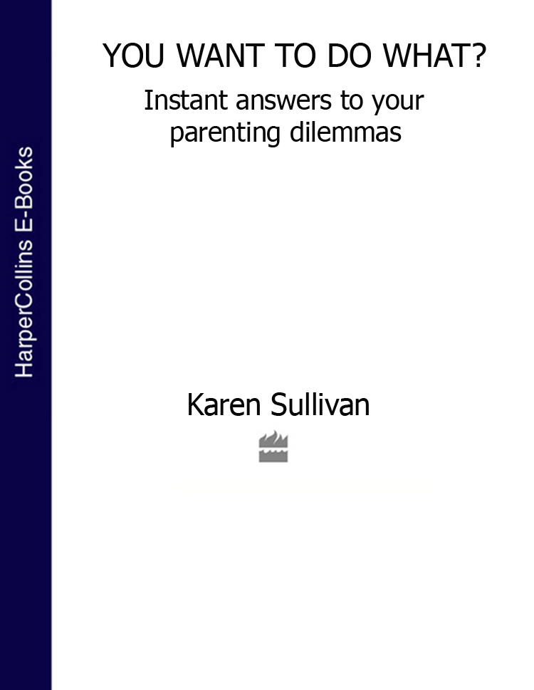 Karen Sullivan You Want to Do What?: Instant answers to your parenting dilemmas