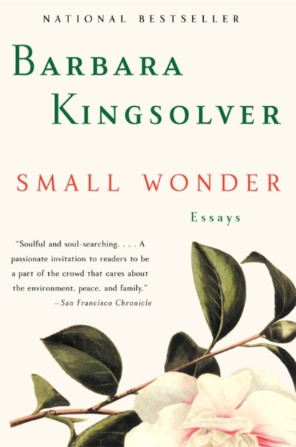 

Small Wonder