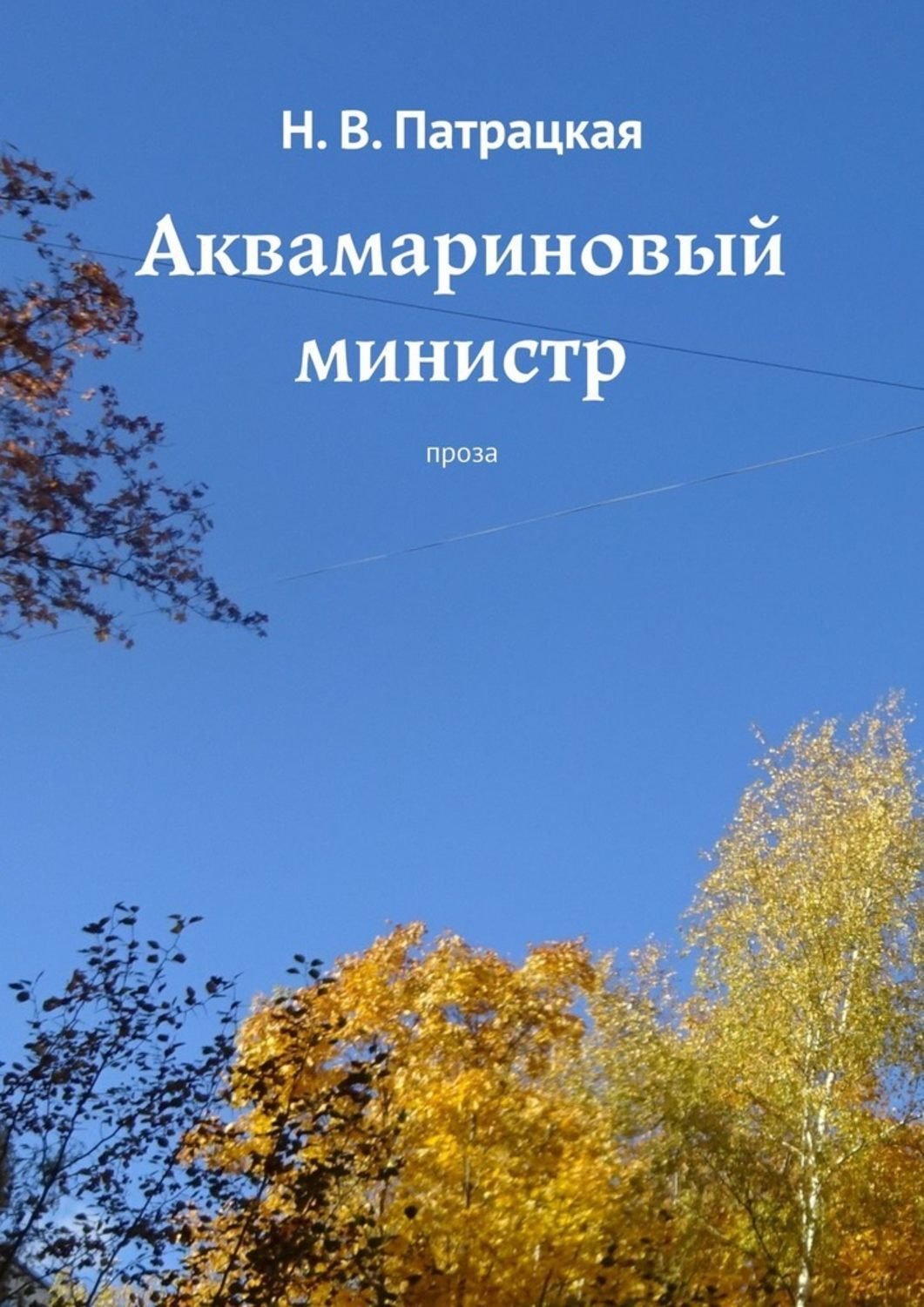 

Аквамариновый министр. Проза