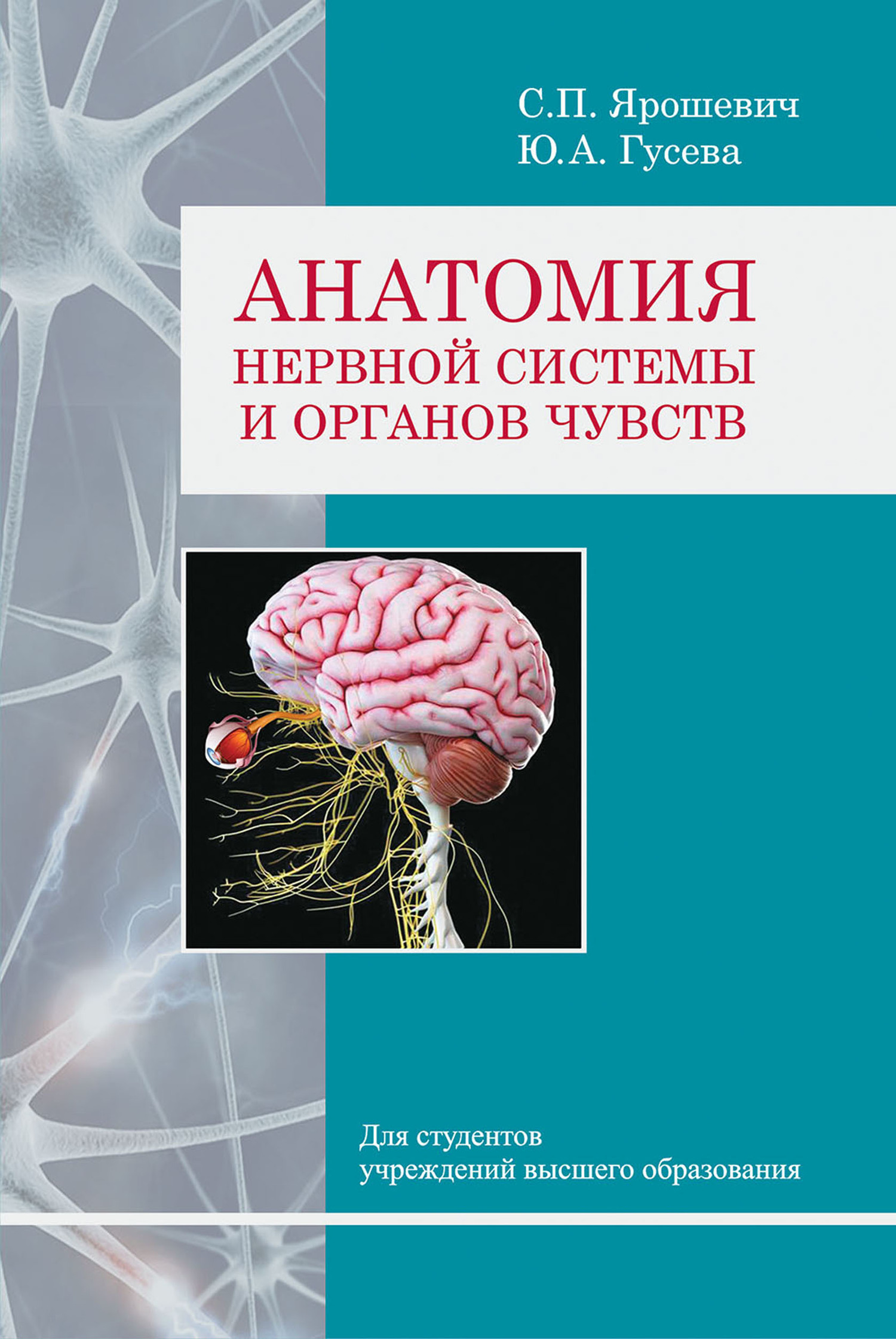 «Анатомия нервной системы и органов чувств» – С. П. Ярошевич | ЛитРес