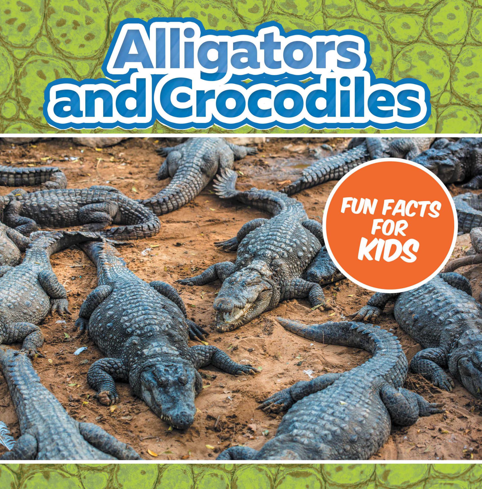 Alligators and Crocodiles Fun Facts For Kids