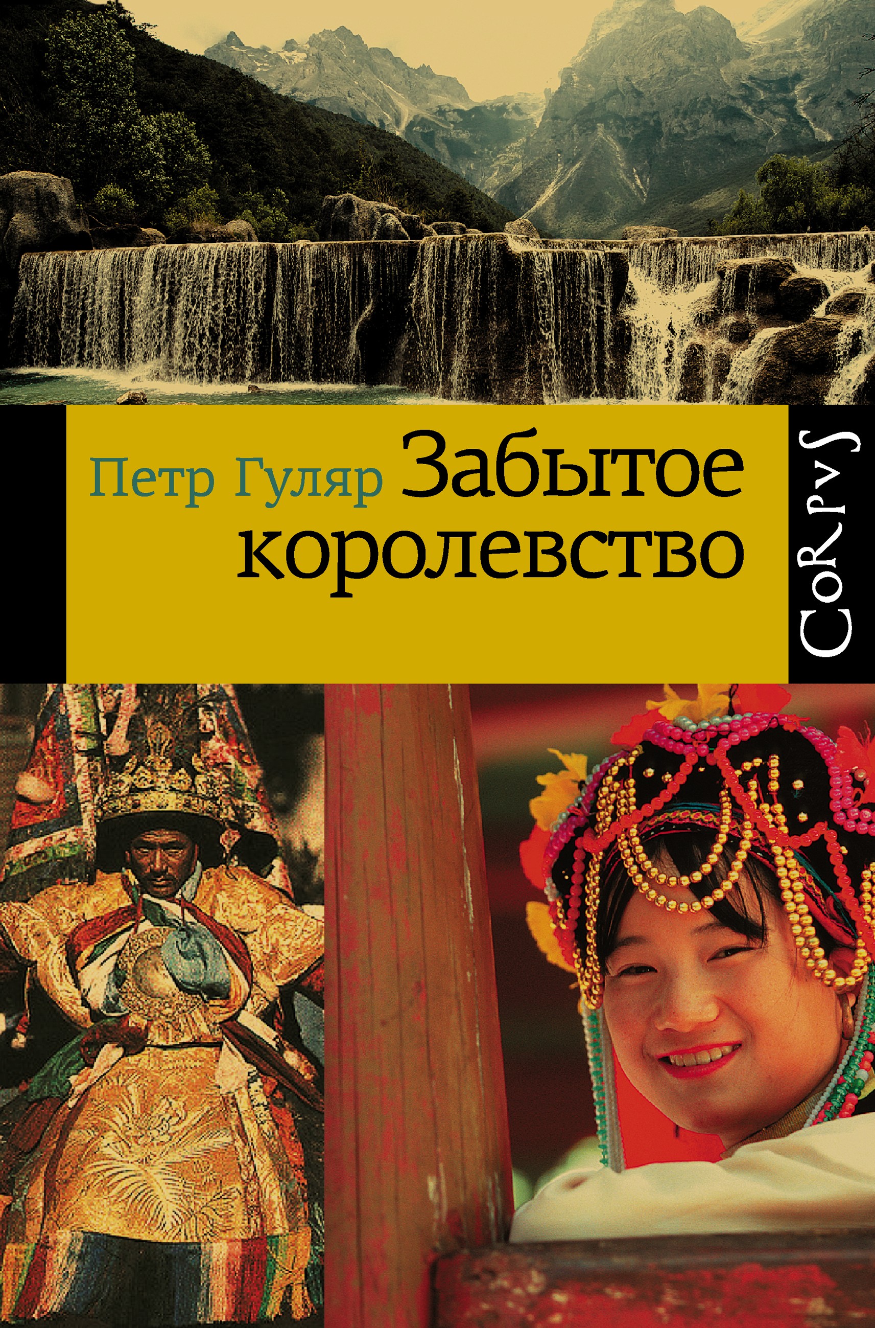 Забытое королевство, Петр Гуляр – скачать книгу fb2, epub, pdf на ЛитРес