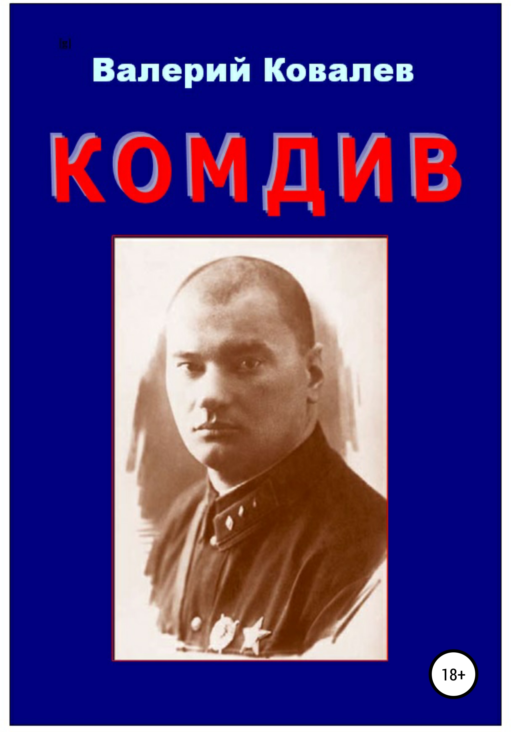 Ковалев николаевич. Комдив ковалёв Александр Антонович. Книга комдивы. Самиздат первый комдив. Комдив читать онлайн.