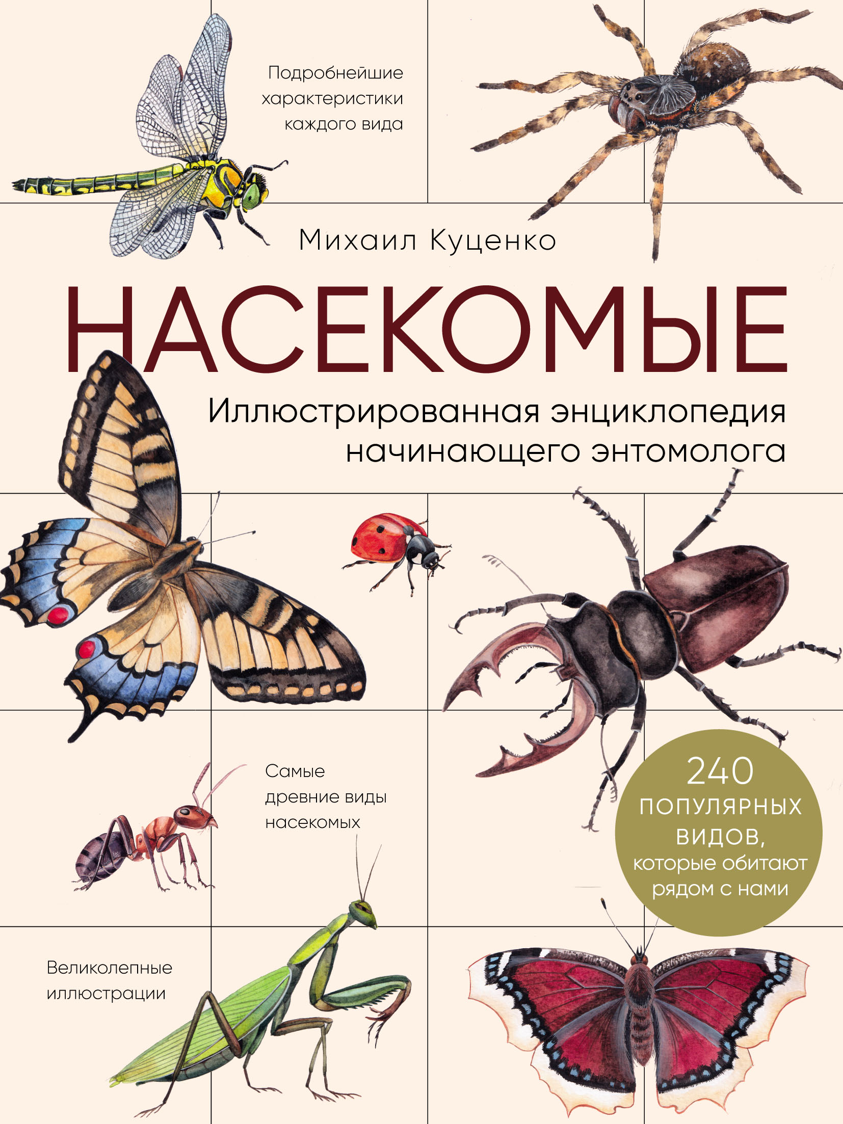 Обиженный муравей, общительный таракан... Новые научные данные ставят перед нами неудобные вопросы