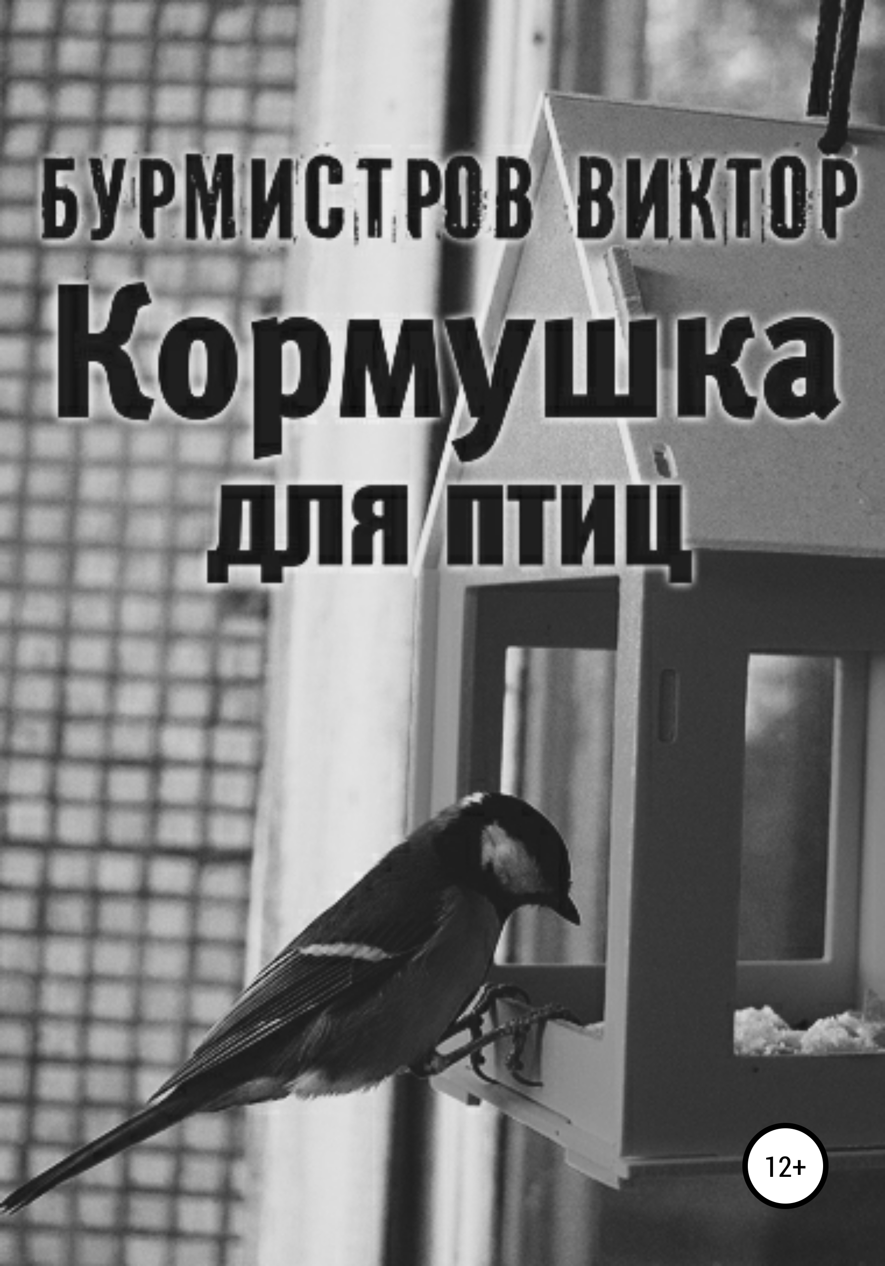 Кормушка для птиц – Виктор Геннадьевич Бурмистров