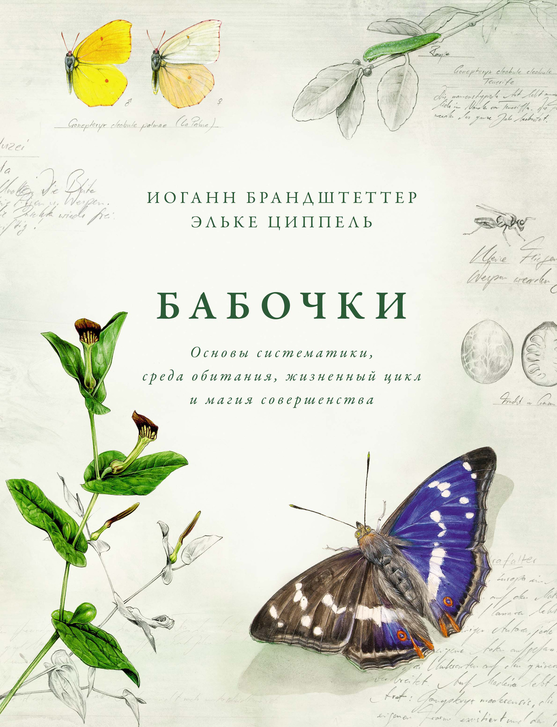 Бабочки. Основы систематики, среда обитания, жизненный цикл и магия  совершенства, Иоганн Брандштеттер – скачать книгу fb2, epub, pdf на ЛитРес