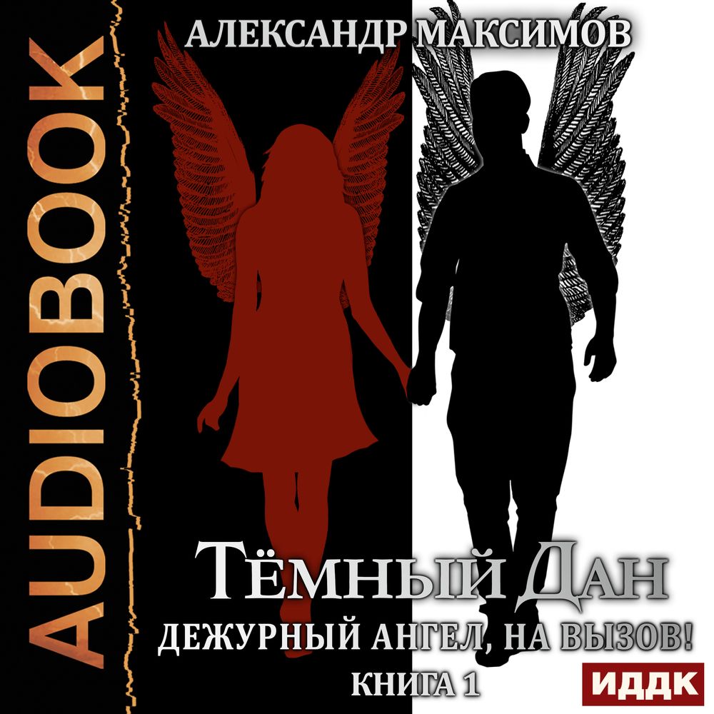 Дежурный ангел, на вызов! Книга 1, Александр Максимов – слушать онлайн или  скачать mp3 на ЛитРес