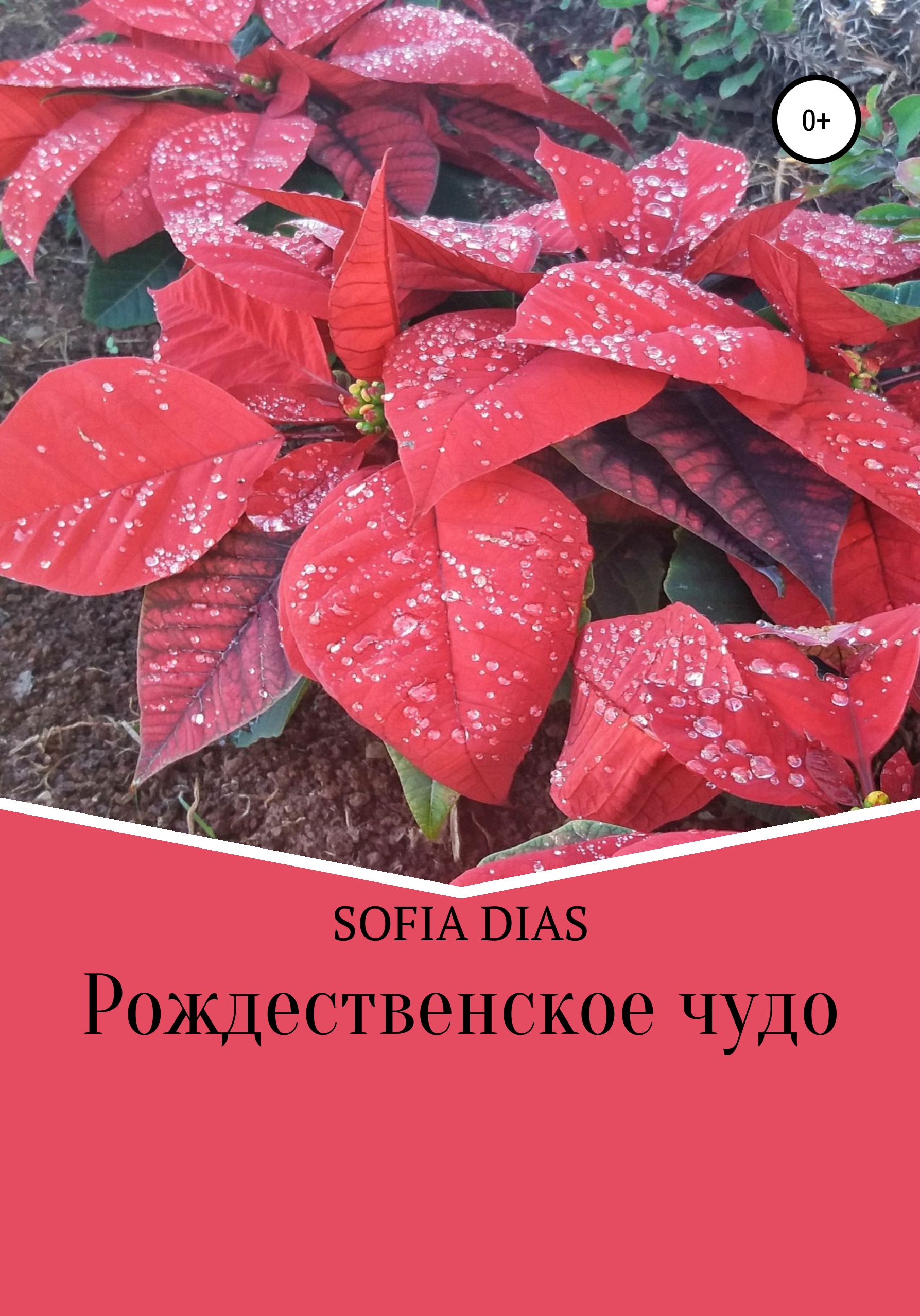 Рождественское Чудо, Sofia Dias – скачать книгу fb2, epub, pdf на ЛитРес