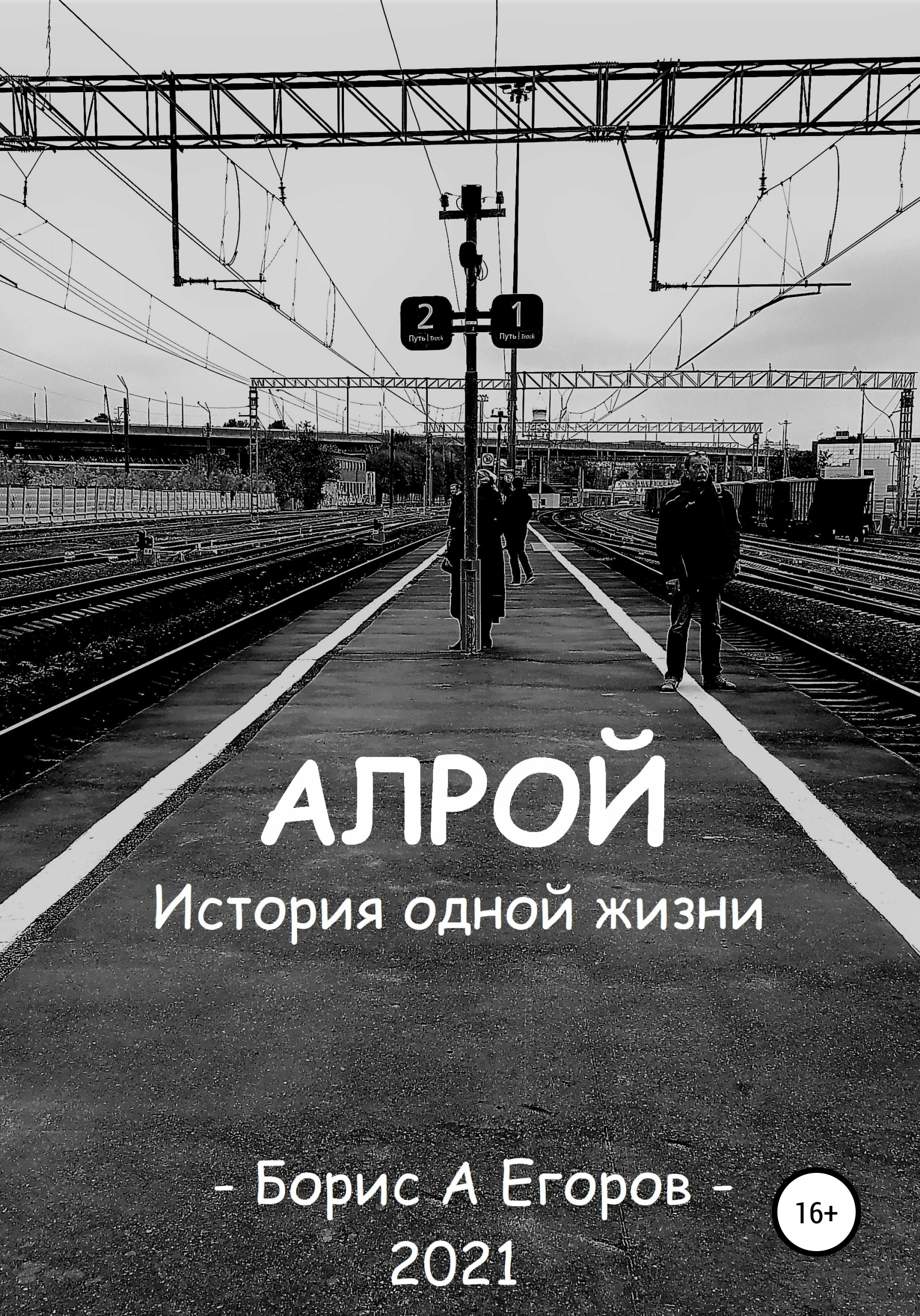 Алрой. История одной жизни, Борис Андреевич Егоров – скачать книгу fb2,  epub, pdf на ЛитРес