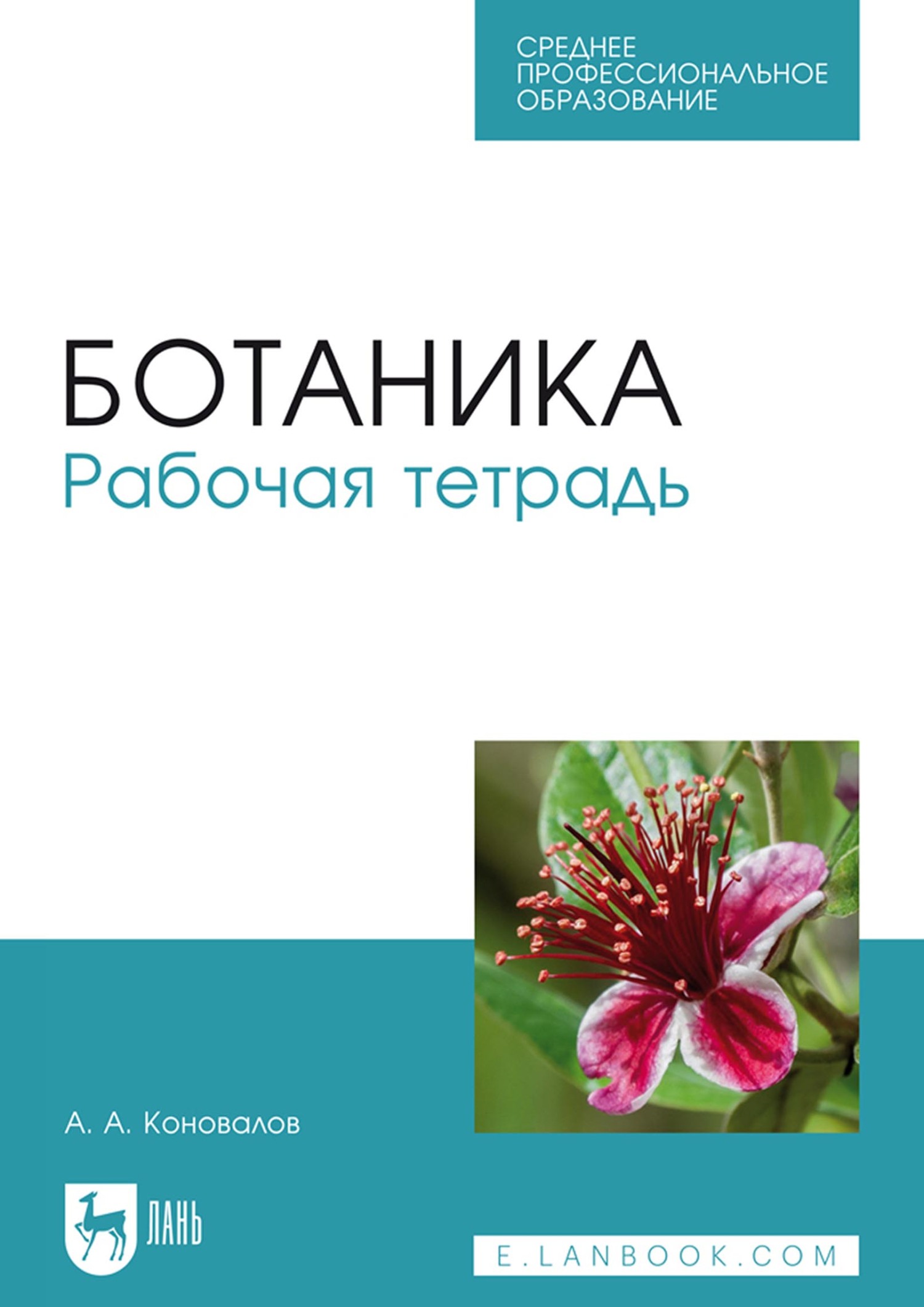 Ботаника. Рабочая тетрадь. Учебное пособие для СПО, А. А. Коновалов –  скачать pdf на ЛитРес