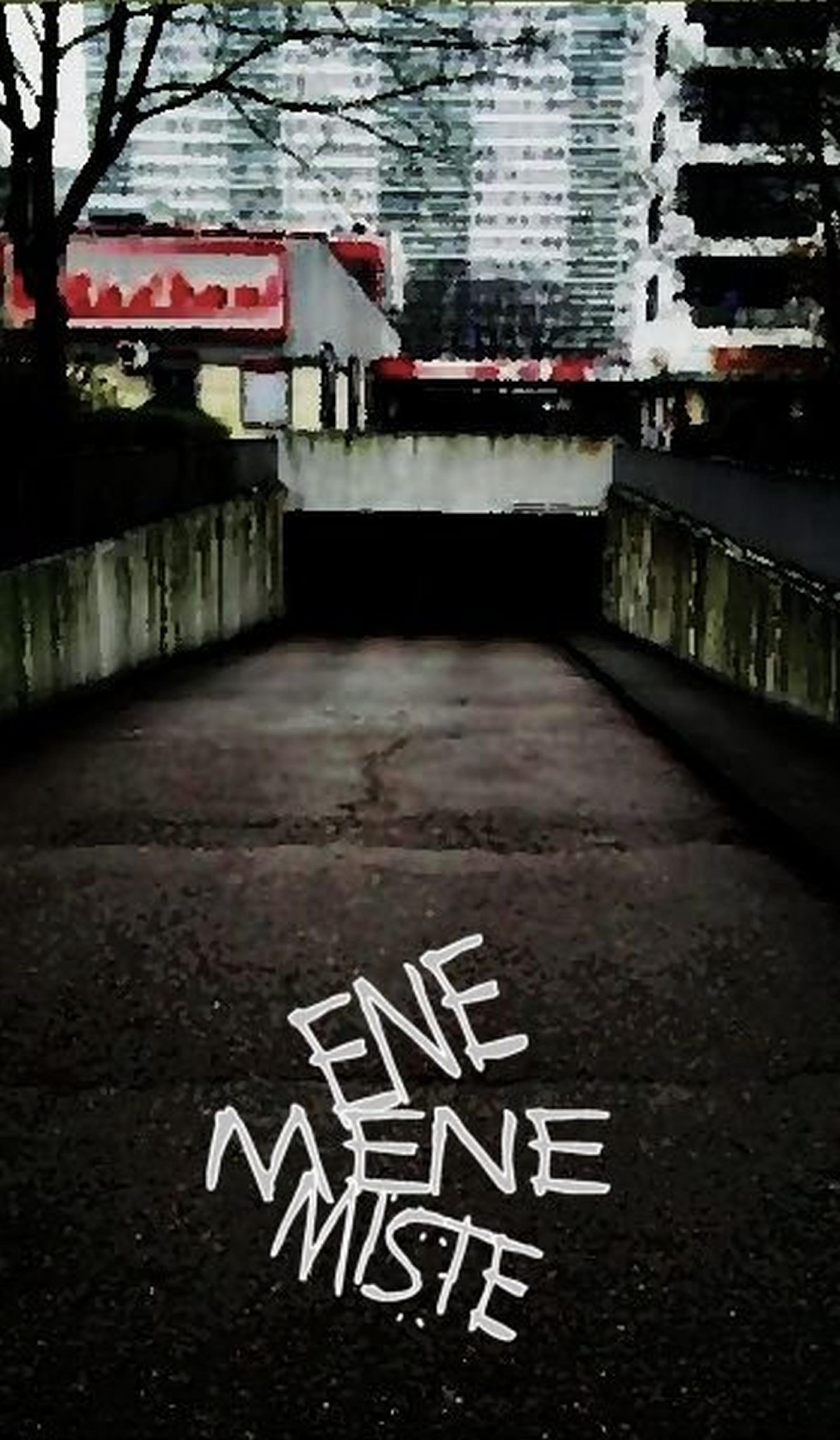 Ene Mene Miste, Frank Seder – скачать книгу fb2, epub, pdf на ЛитРес