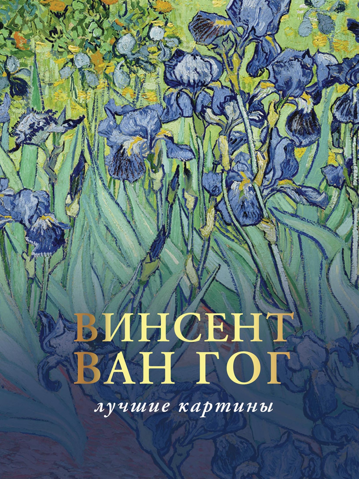 Любимые картины. Эскизы, письма, комментарии, Винсент Ван Гог – скачать pdf  на ЛитРес