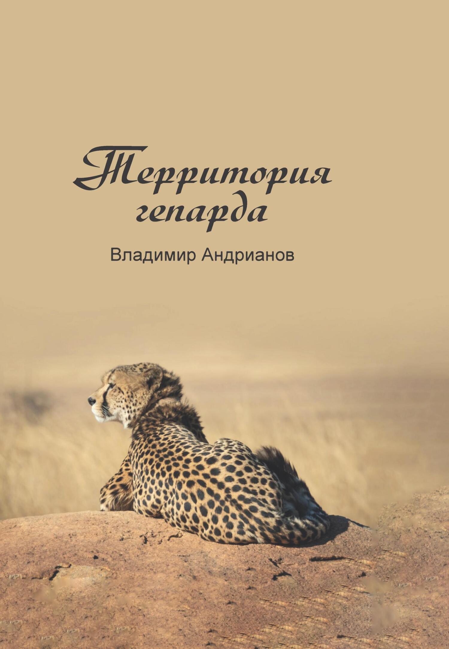 Территория гепарда, Владимир Андрианов – скачать книгу fb2, epub, pdf на  ЛитРес