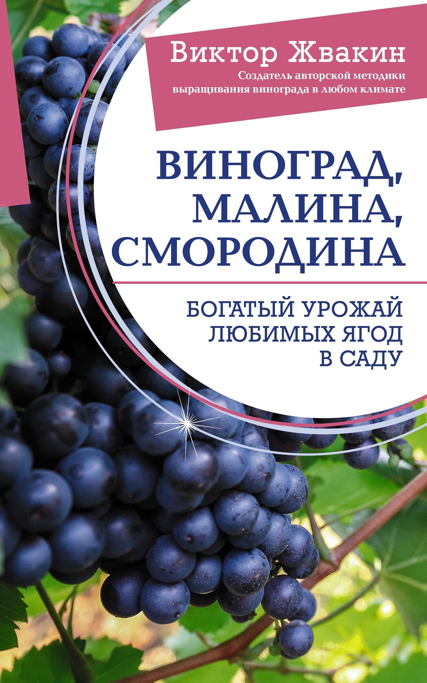 Виноград, малина, смородина. Богатый урожай любимых ягод в саду, Виктор  Жвакин – скачать книгу fb2, epub, pdf на ЛитРес