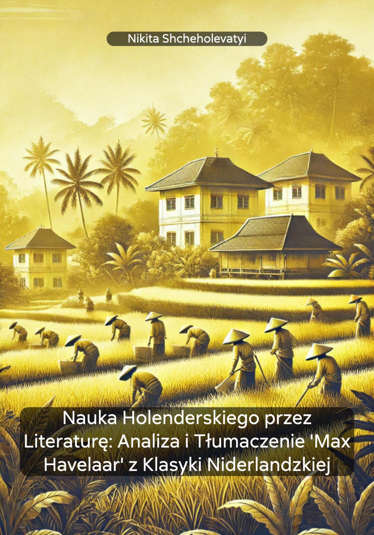 Nauka Holenderskiego przez Literaturę: Analiza i Tłumaczenie \'Max Havelaar\' z Klasyki Niderlandzkiej