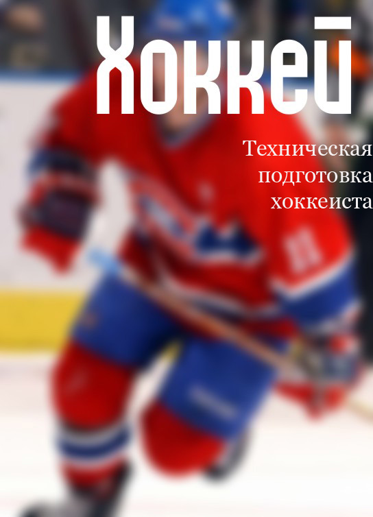 Илья Мельников Техническая подготовка хоккеиста