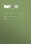 Birds and All Nature, Vol. VI, No. 1, June 1899