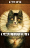 Katzenfreundschaften