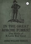 В Великом лесу апачей