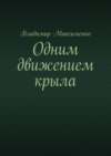 Одним движением крыла