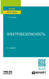 Электробезопасность 2-е изд., пер. и доп. Учебное пособие для вузов