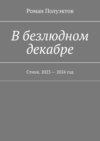 В безлюдном декабре. Стихи. 2023 – 2024 год