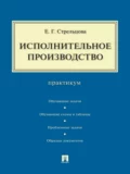 Исполнительное производство. Практикум - Елена Геннадьевна Стрельцова