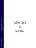 FALLEN IDOLS - Neil  White