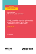 Правоохранительные органы Российской Федерации. Практикум 3-е изд., пер. и доп. Учебное пособие для вузов - Сергей Валерьевич Гурдин