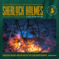 Sherlock Holmes und das Rätsel der Schildkrötensuppe - Eine neue Sherlock Holmes Kriminalgeschichte (Ungekürzt)