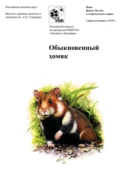 Обыкновенный хомяк - А. В. Суров