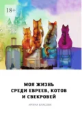 Моя жизнь среди евреев, котов и свекровей - Ирина Викторовна Власова