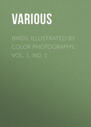 Birds, Illustrated by Color Photography, Vol. 1, No. 1
