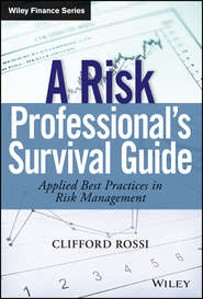 A Risk Professional\'s Survival Guide. Applied Best Practices in Risk Management