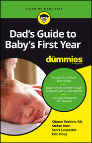 Dad\'s Guide to Baby\'s First Year For Dummies