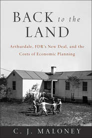 Back to the Land. Arthurdale, FDR\'s New Deal, and the Costs of Economic Planning