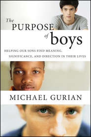 The Purpose of Boys. Helping Our Sons Find Meaning, Significance, and Direction in Their Lives