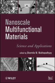 Nanoscale Multifunctional Materials. Science & Applications