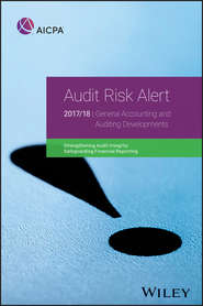 Audit Risk Alert. General Accounting and Auditing Developments, 2017\/18