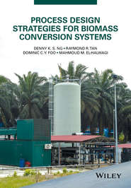 Process Design Strategies for Biomass Conversion Systems